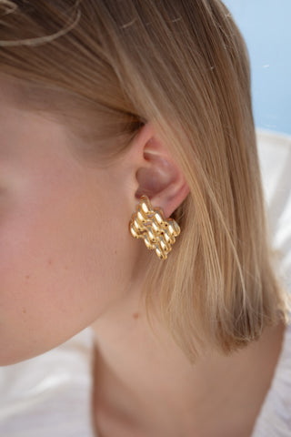 Hyle Earrings Clip