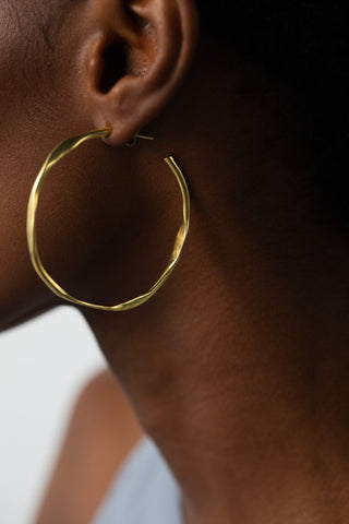 Entelechy Hoops