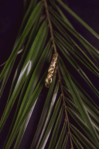 Sidon Ring
