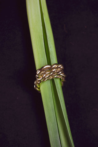 Sidon Ring