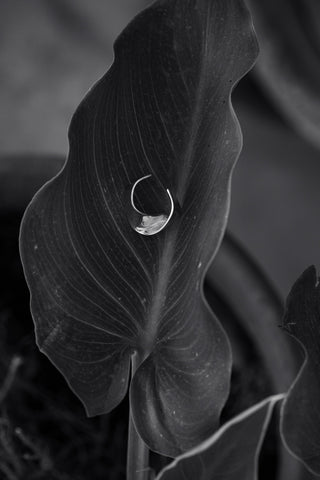 Stroma Ring