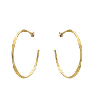 Entelechy Hoops