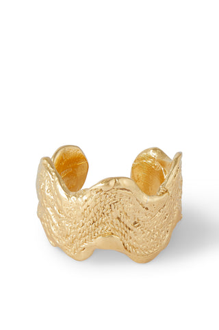 Rebus Ring
